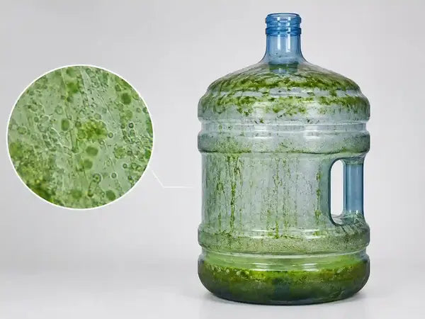 How to Prevent Green Algae in 5-Gallon Bottled Water: A Production-Side Control Guide